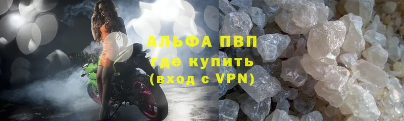 Alfa_PVP СК Сосновый Бор